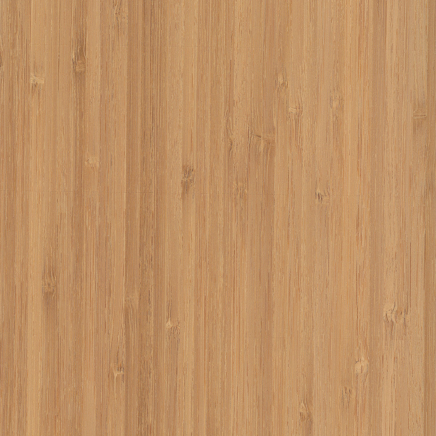 Veneer Bamboo vertical coffee