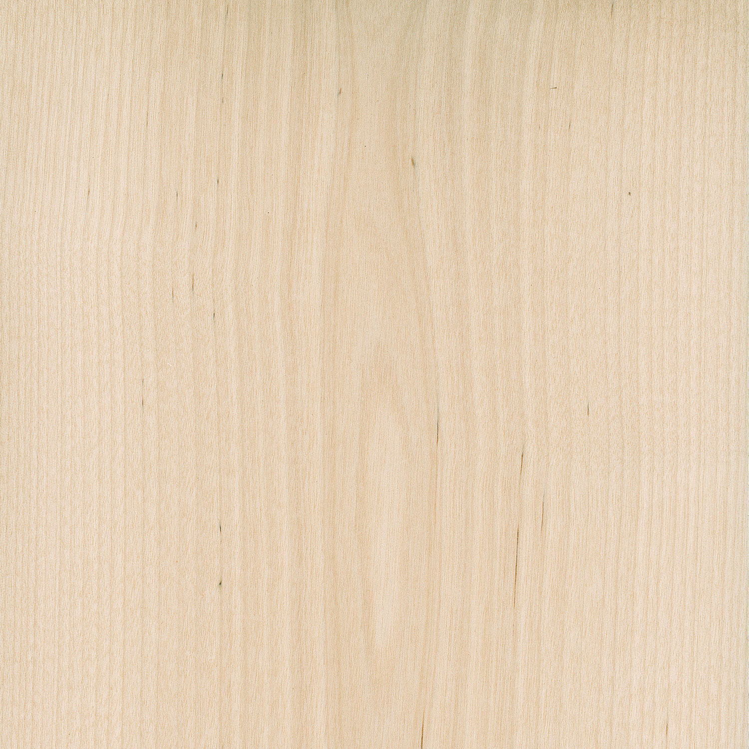 Veneer Birch