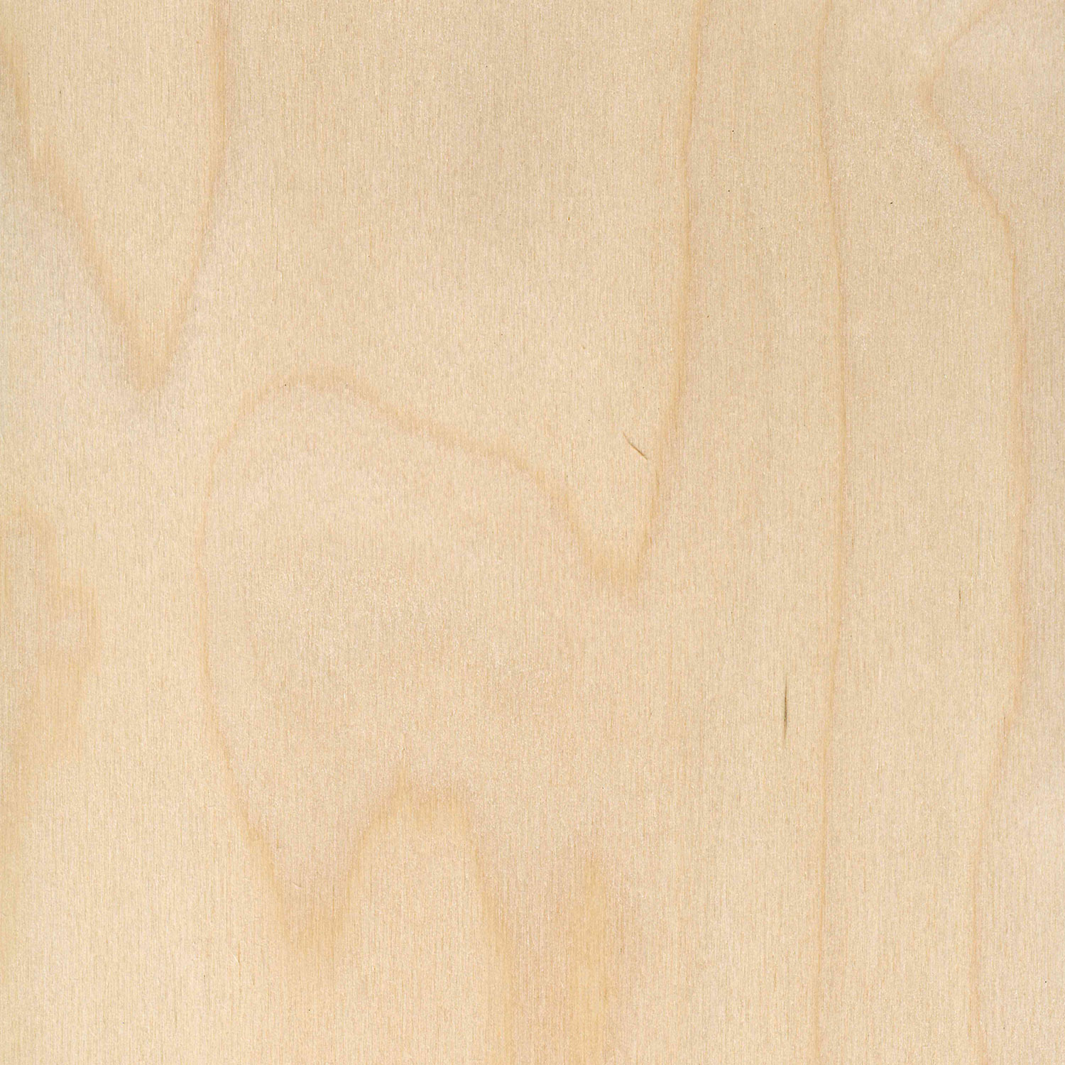 Veneer Birch peeled, rotary cut veneer