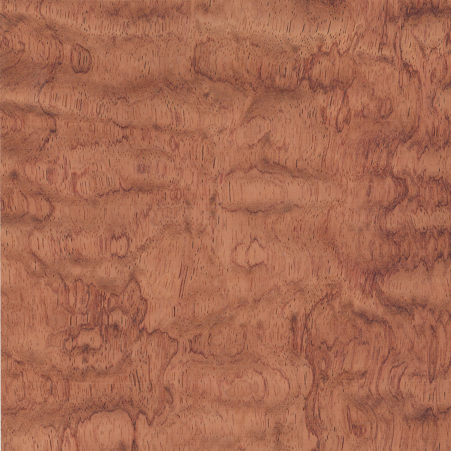 Veneer Bubinga Pommele