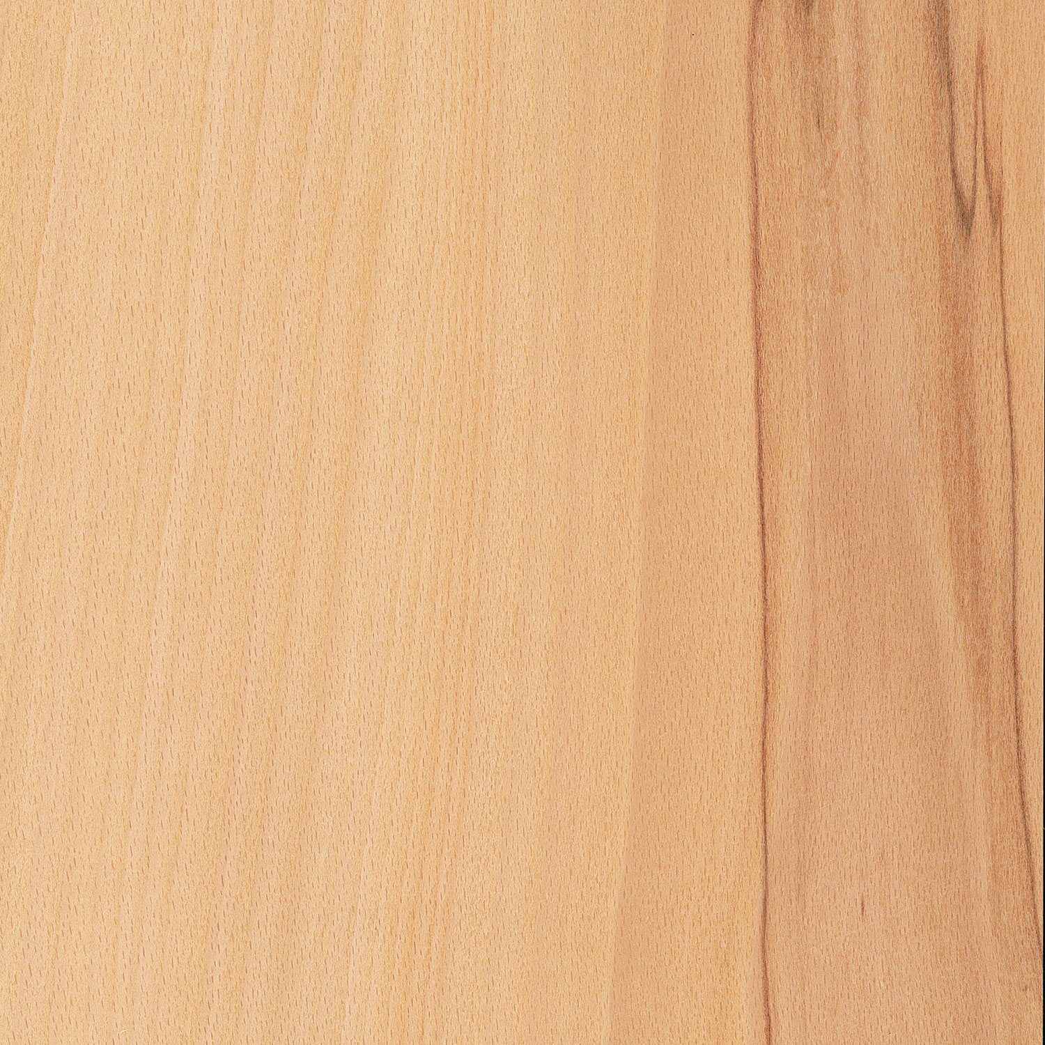 Veneer Beech with brown heart