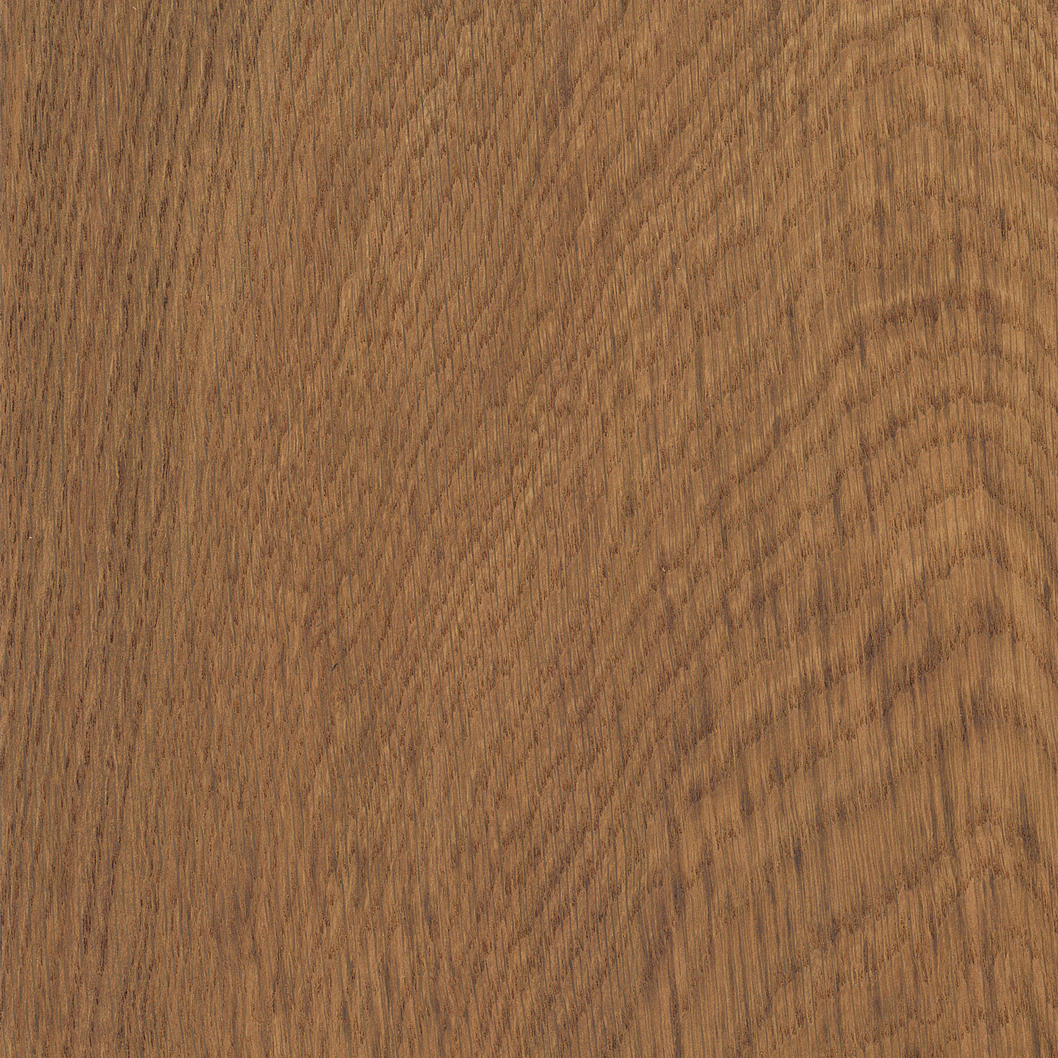 Veneer Oak brown