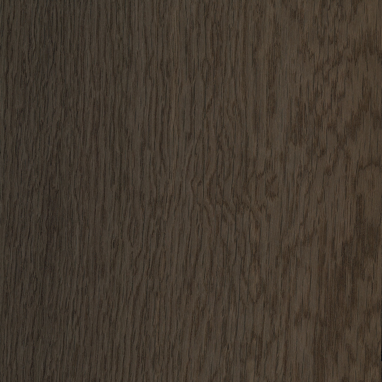 Veneer Oak, bog