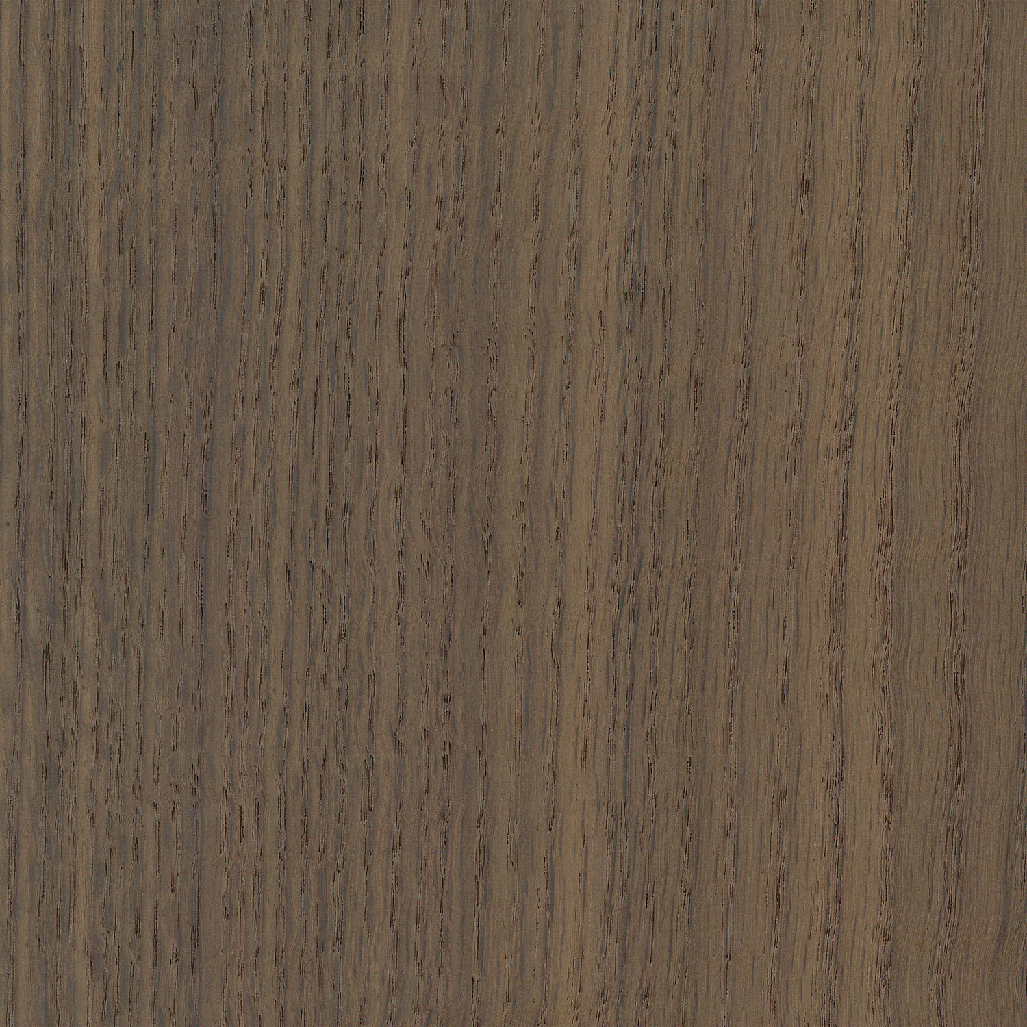 Veneer Oak, smoked red oak