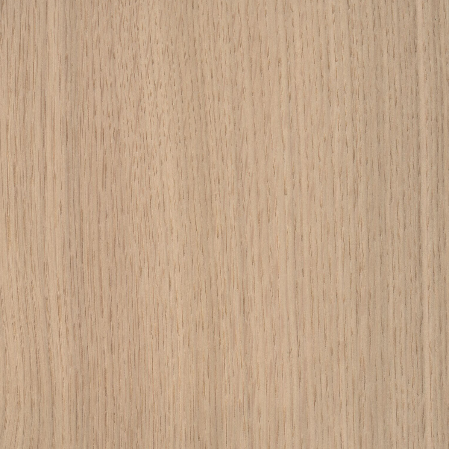 Veneer Oak white