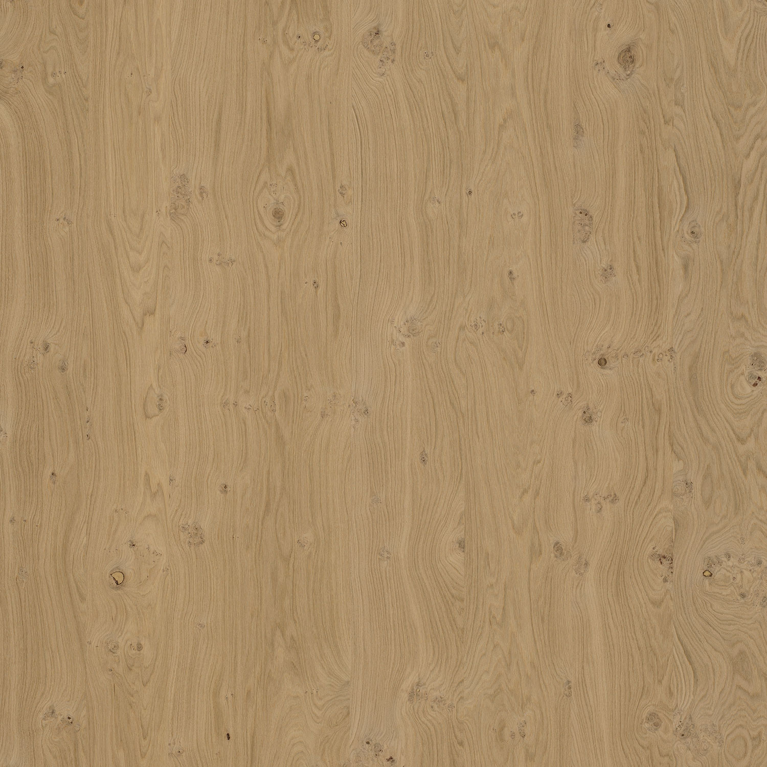 Veneer Express Layons Knotty Oak