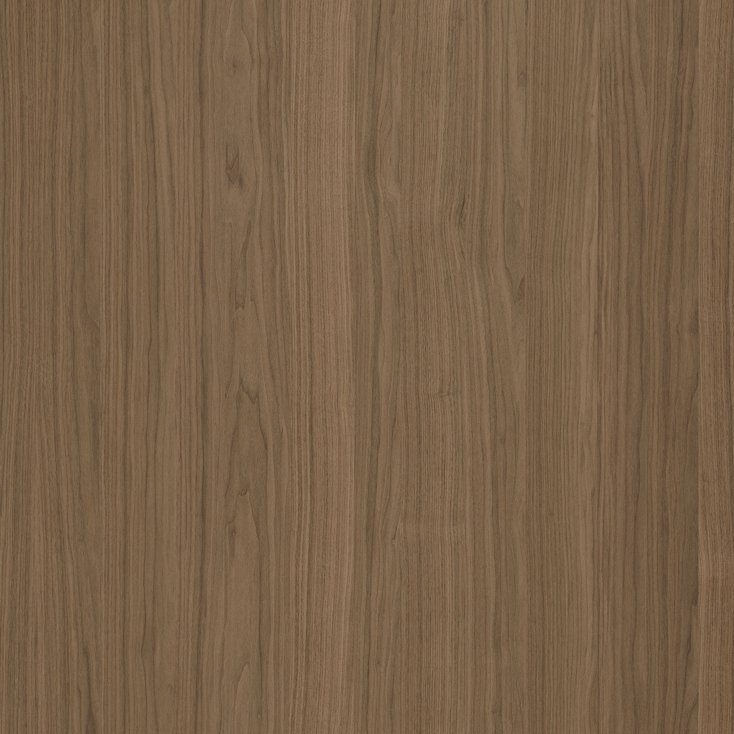 Veneer Express Layons Walnut American