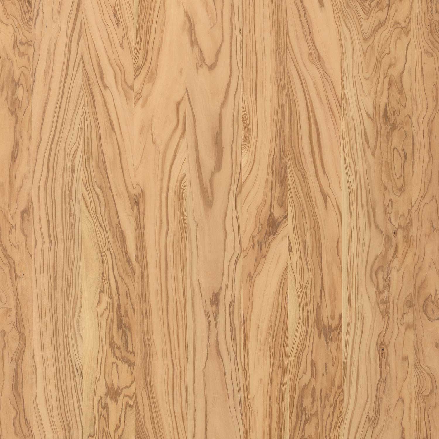 Veneer Express Layons Olive