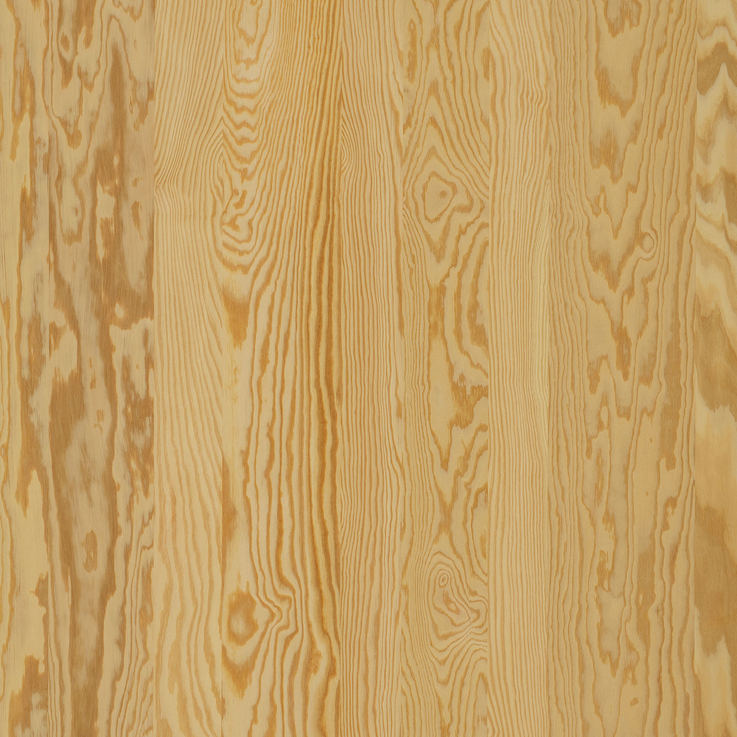 Veneer Express Layons Peeled Pine