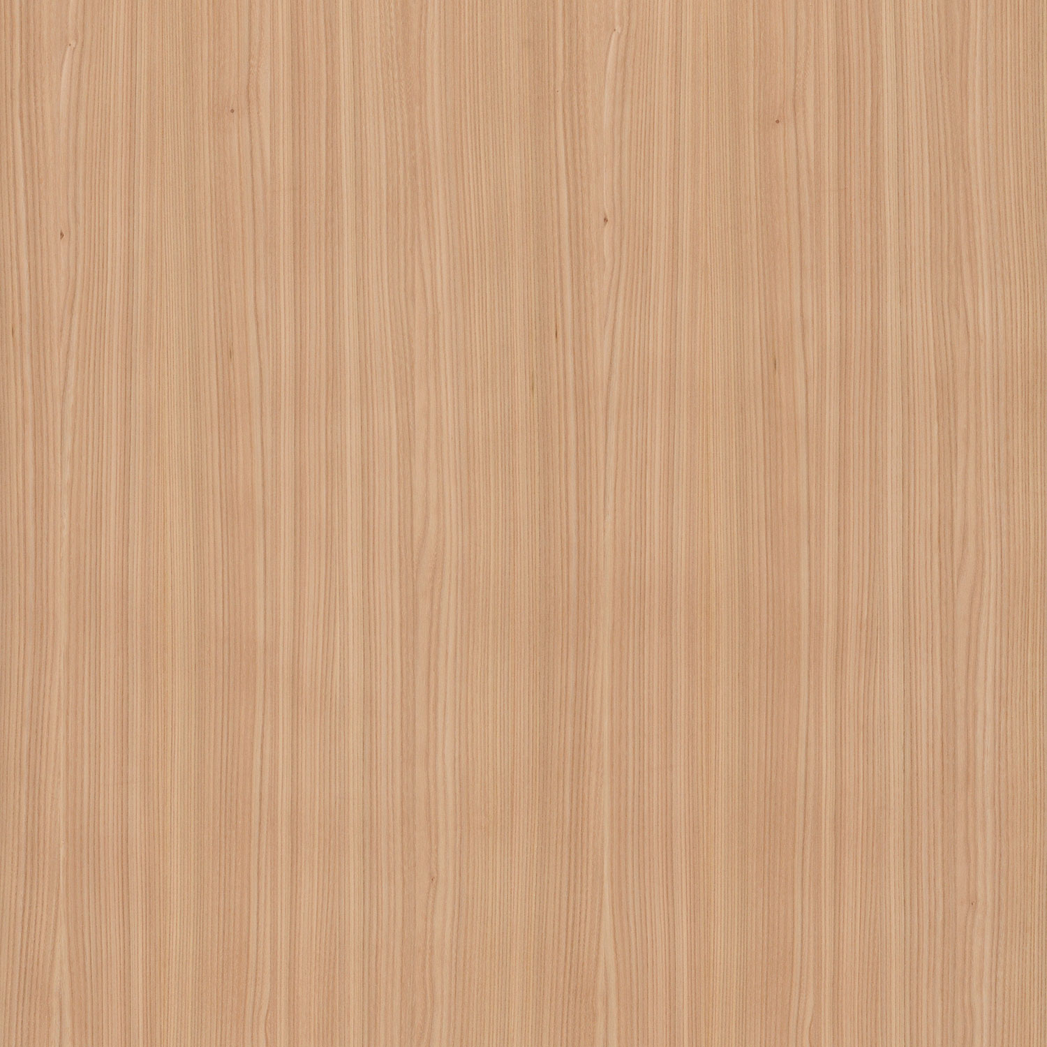 Veneer Express Layons Elm