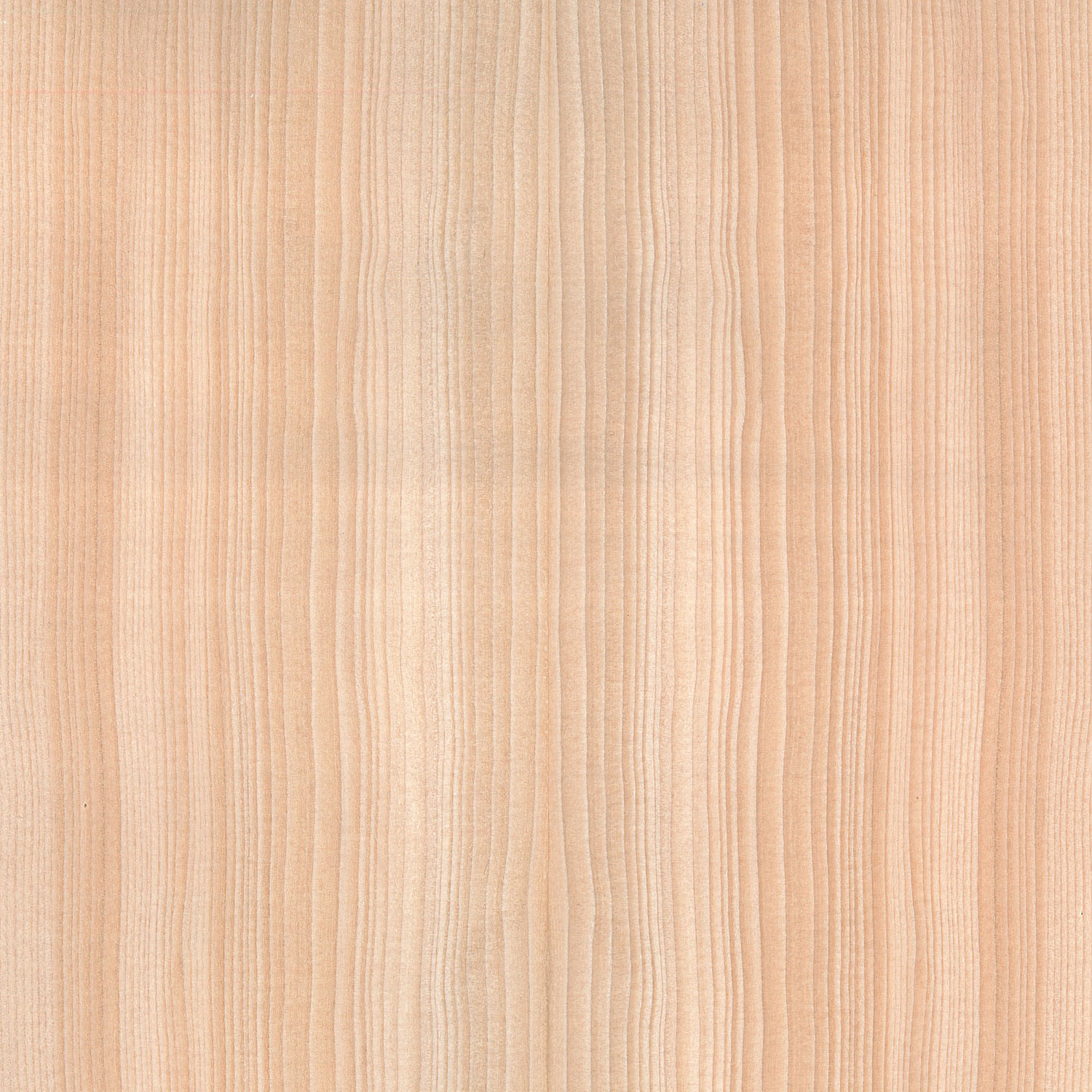 Veneer Hemlock western