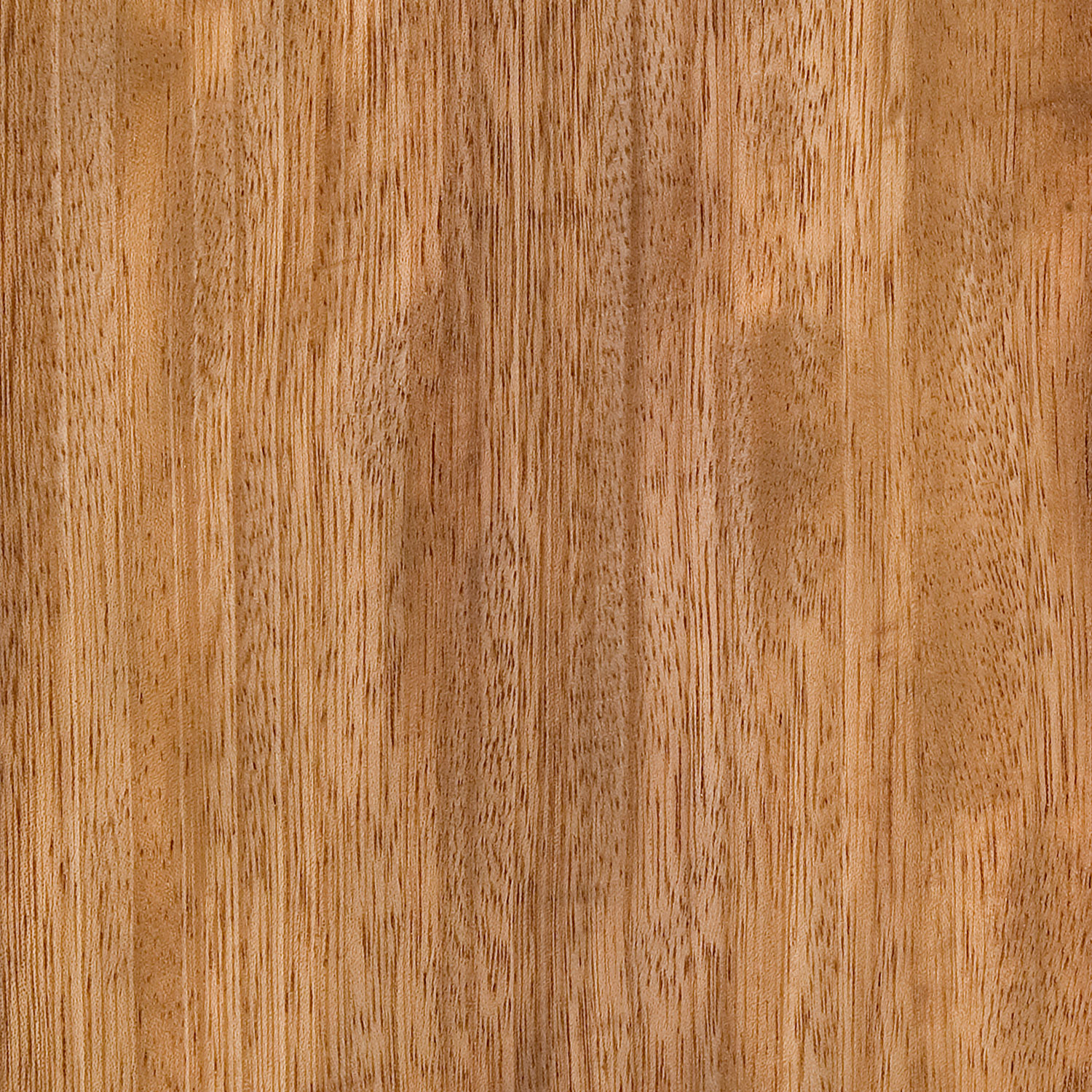 Veneer Iroko