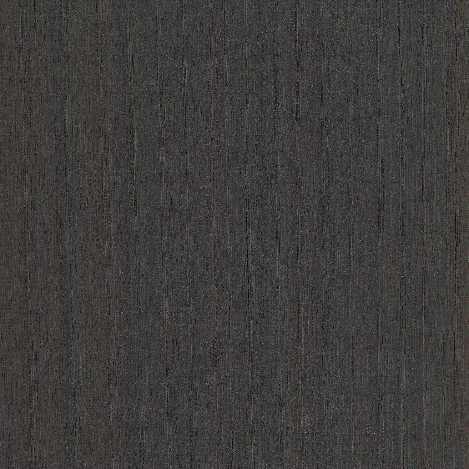 Veneer Chestnut smoked