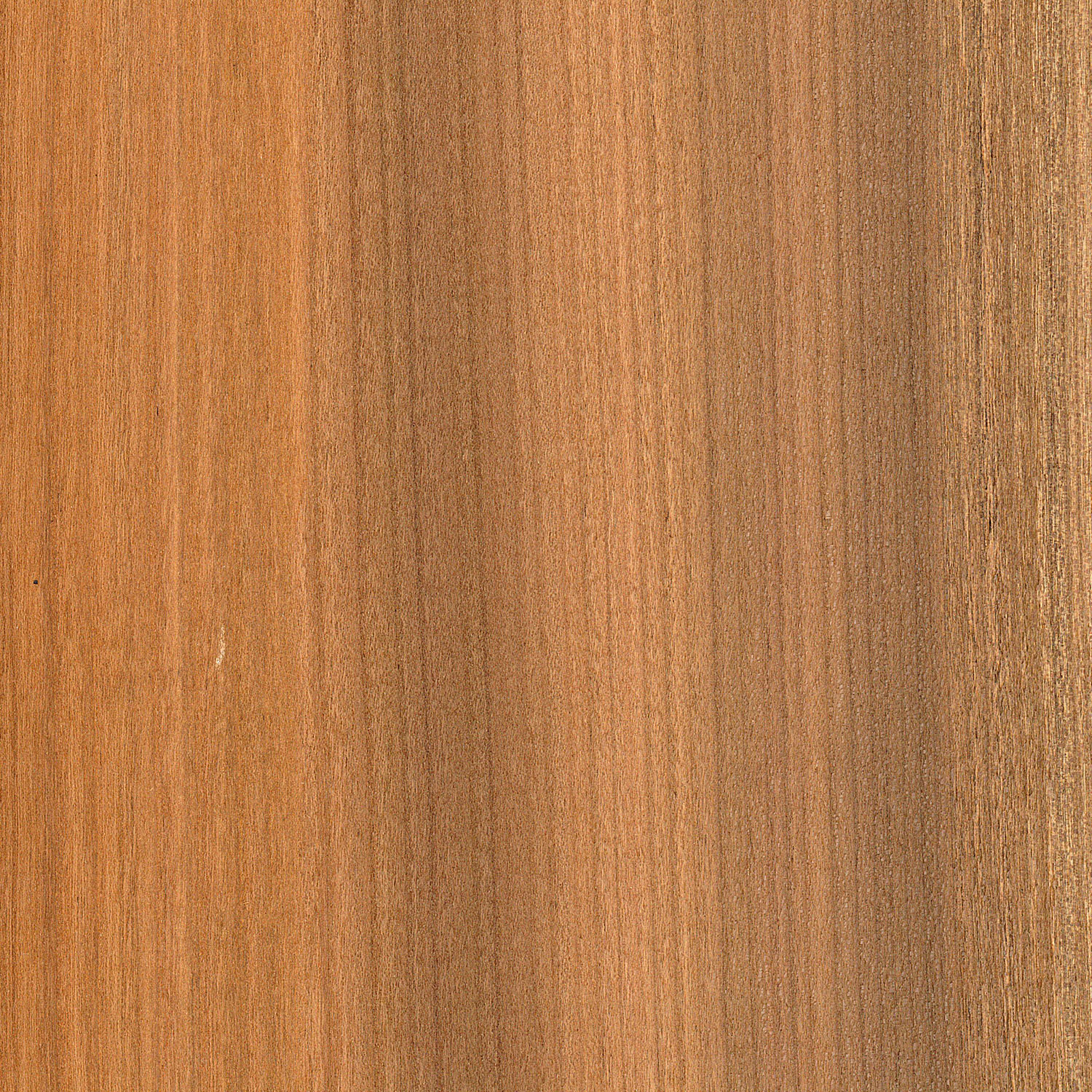 Furnier Kirschbaum geräuchert