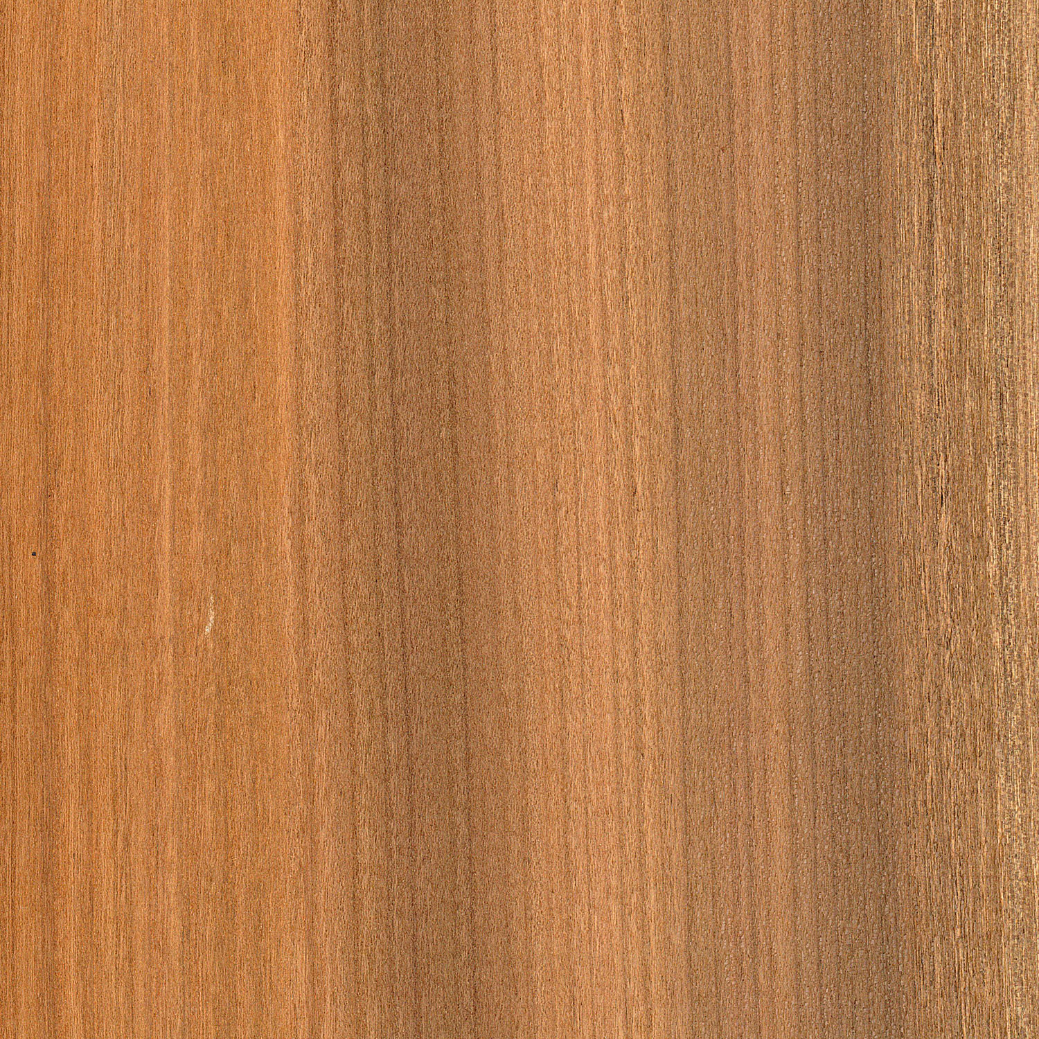 Veneer Cherry smoked european