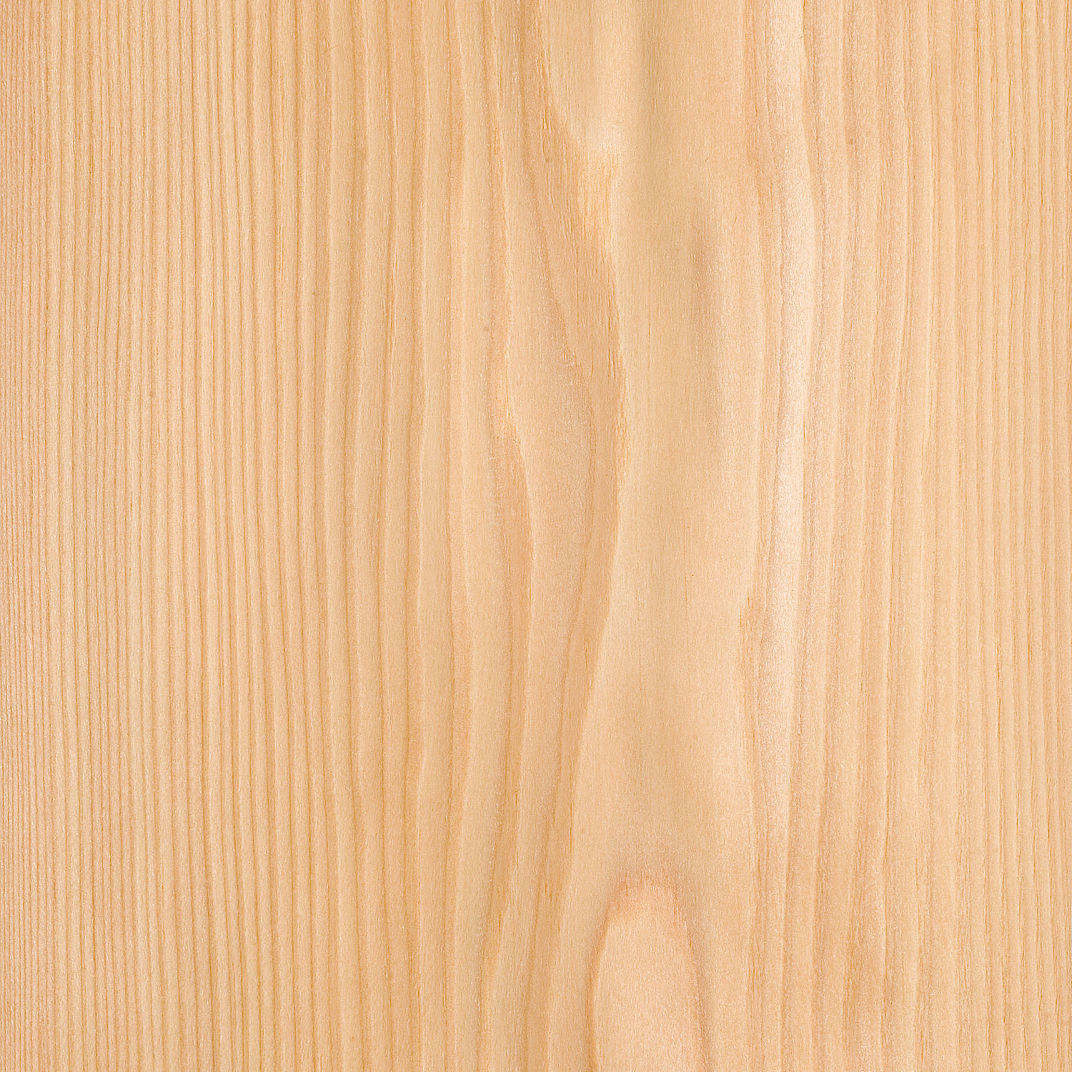 Veneer Larch