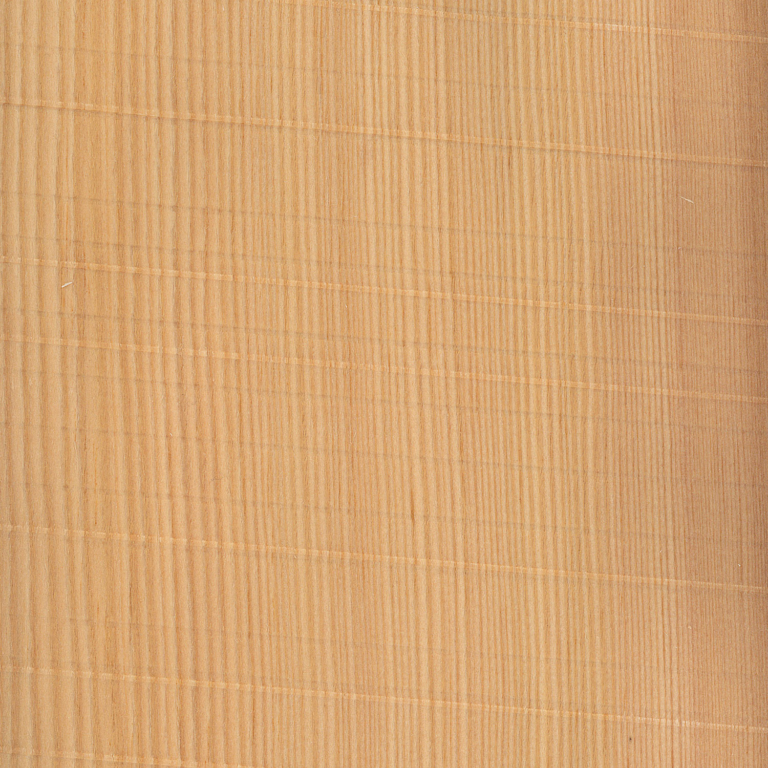 Veneer Larch Rough Cut