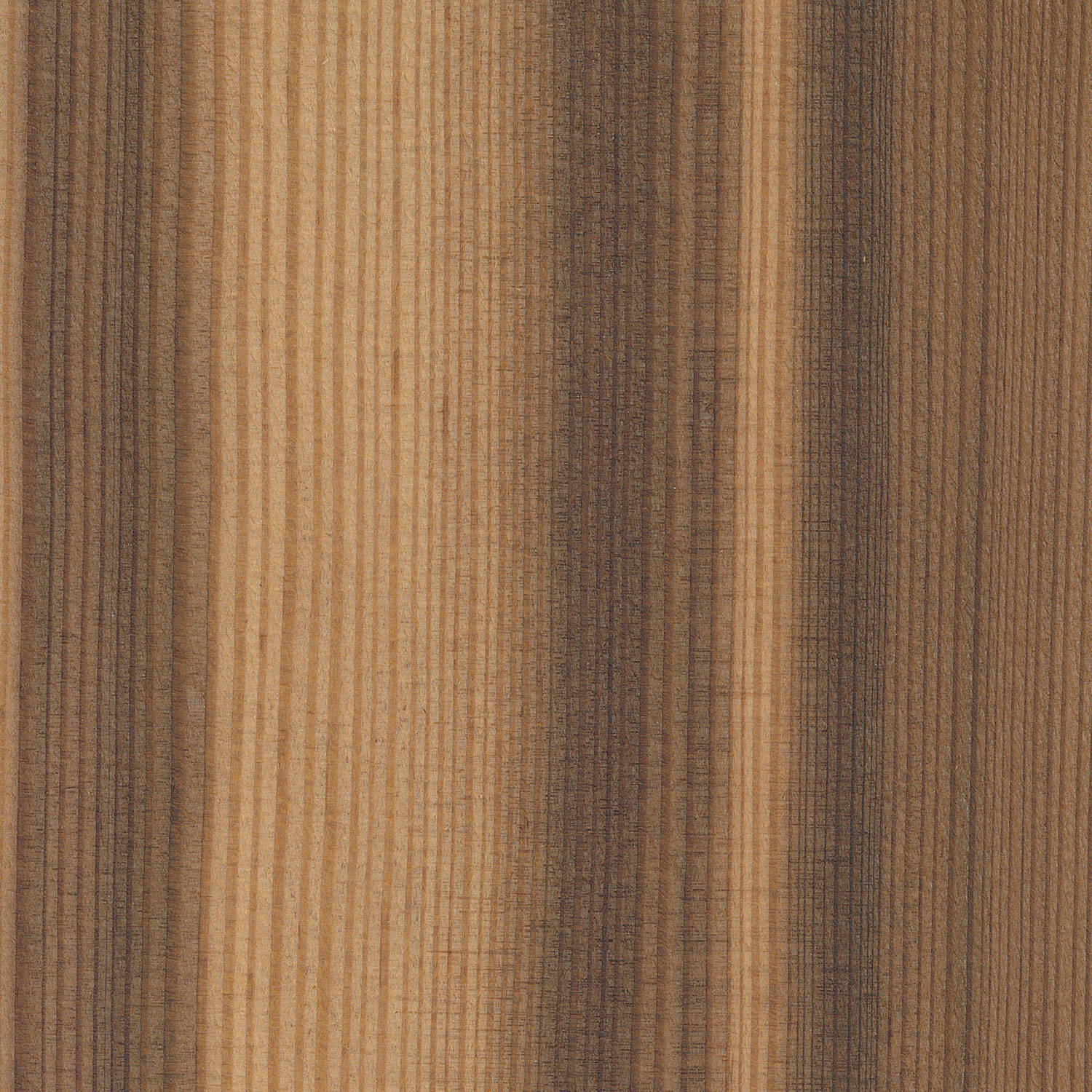 Veneer Larch smoked bright