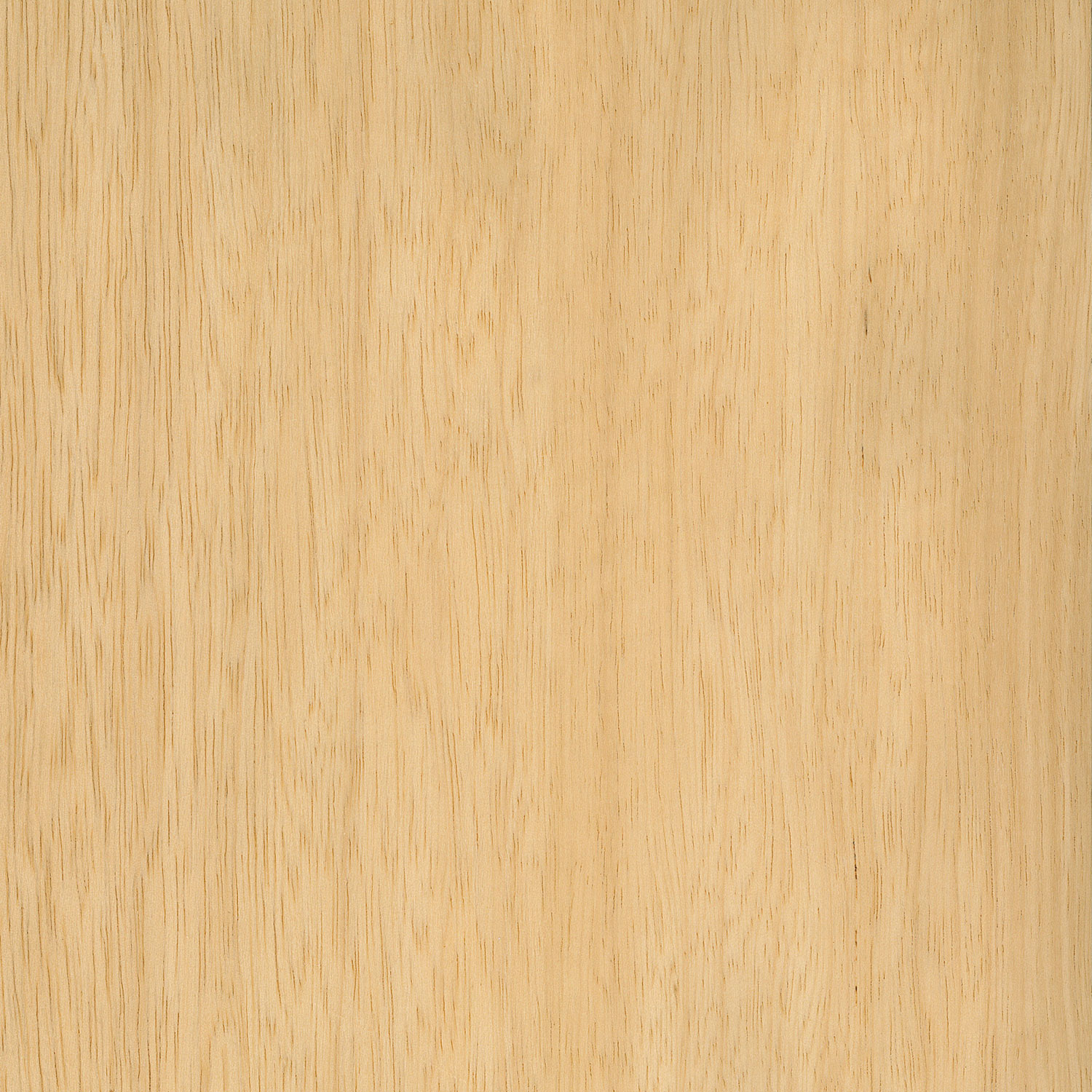 Veneer Limba