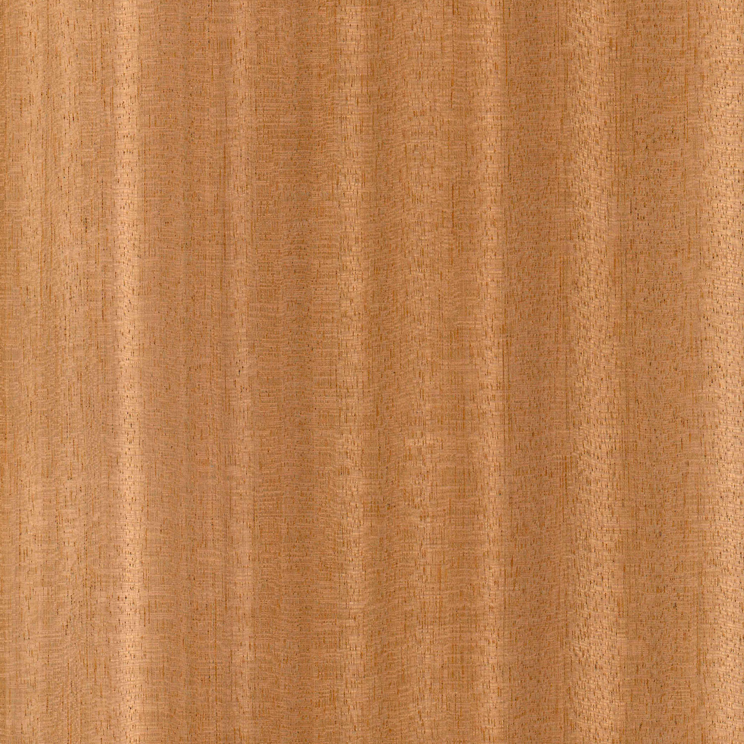 Veneer Sapele