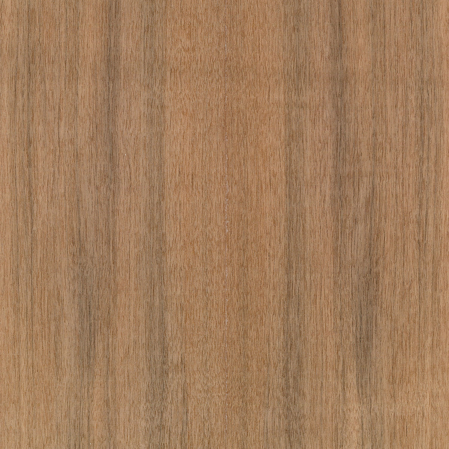 Veneer Mansonia