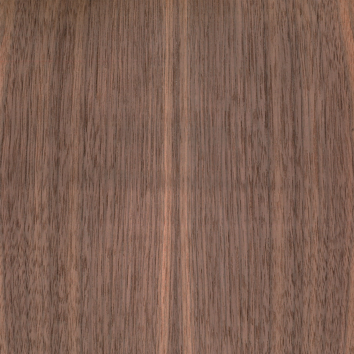 Veneer Walnut american