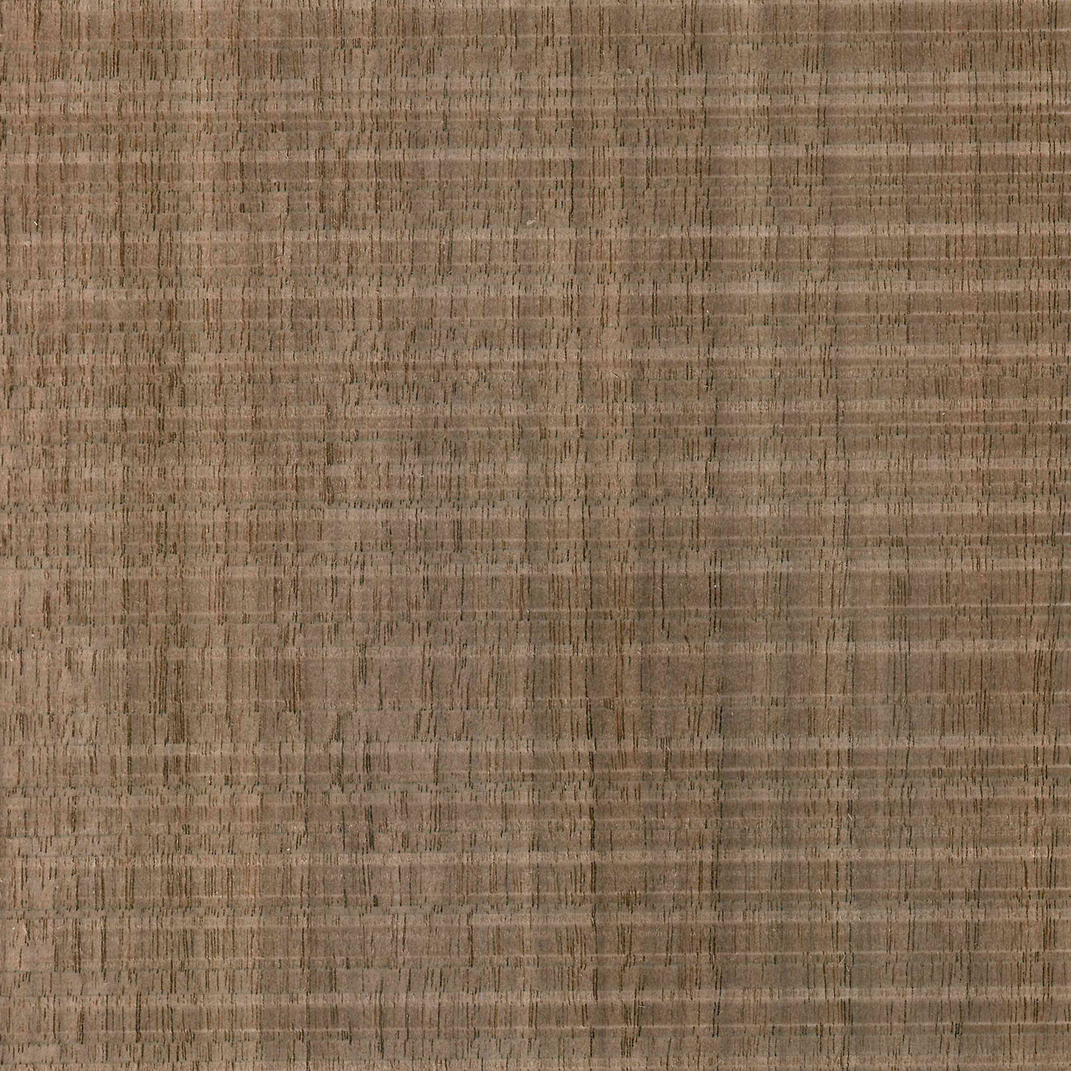 Furnier Nussbaum amerikan. rough cut, sägeroh (Schwarznuss)