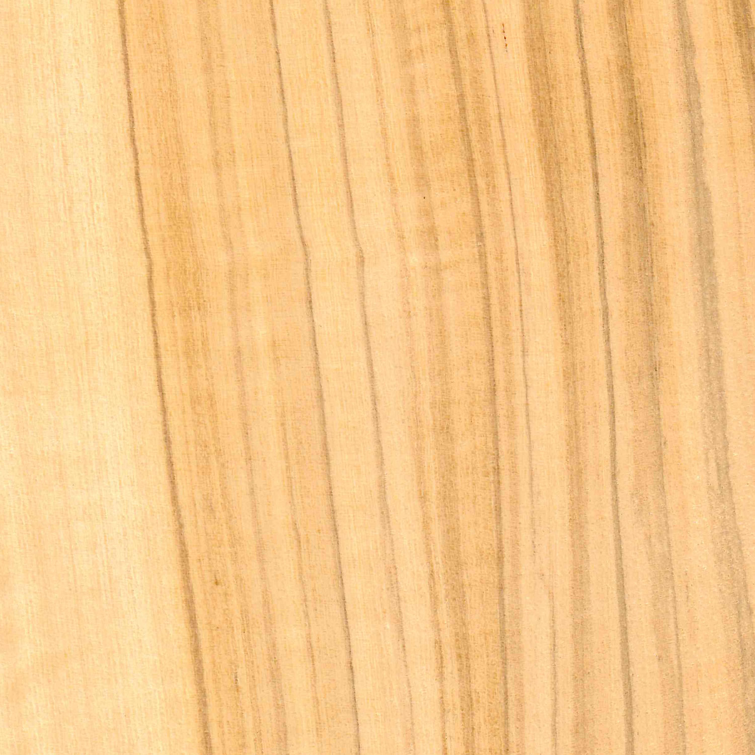 Veneer Olive