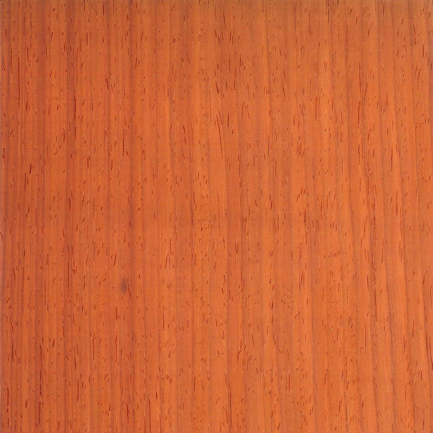 Veneer Padauk african