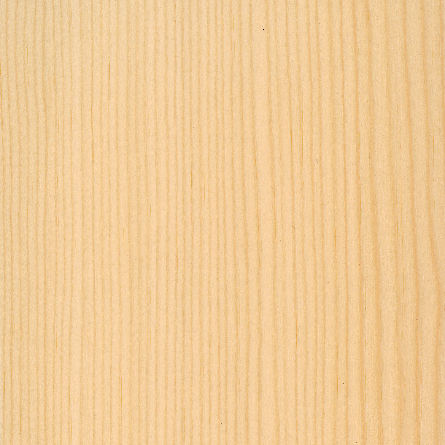 Furnier Fichte