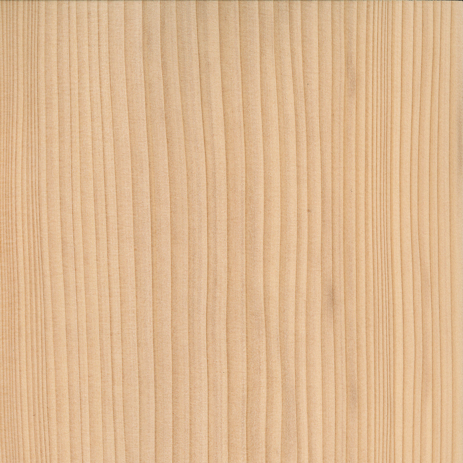 Veneer Fir European Silver