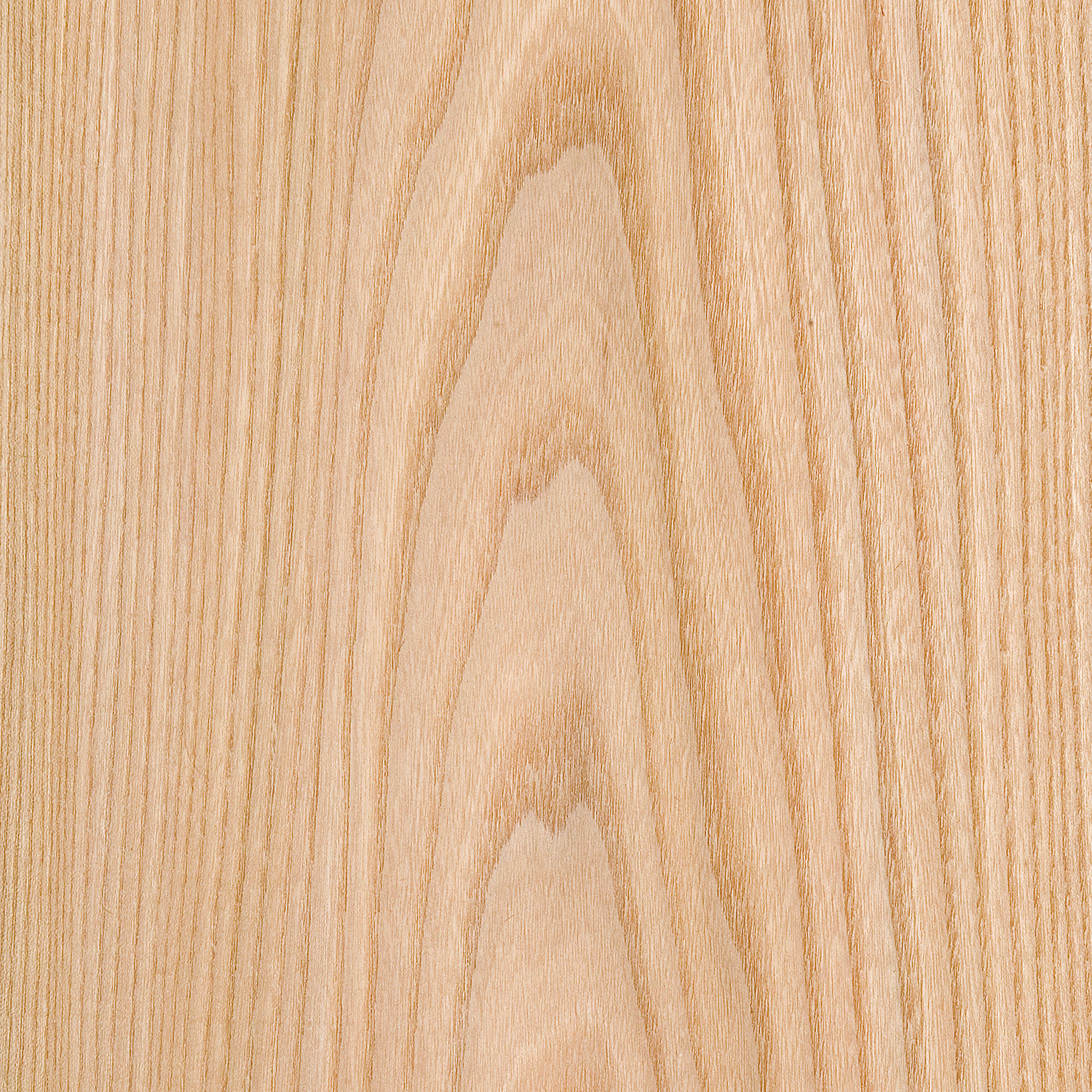 Veneer Elm