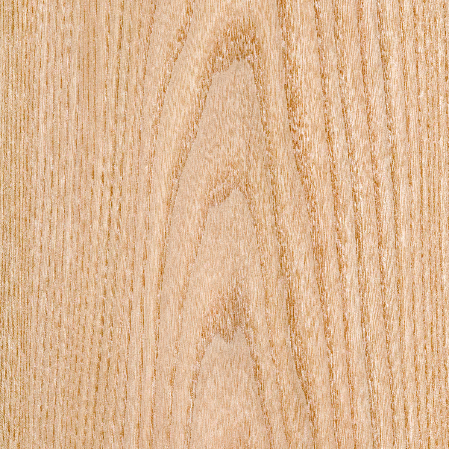 Veneer Elm