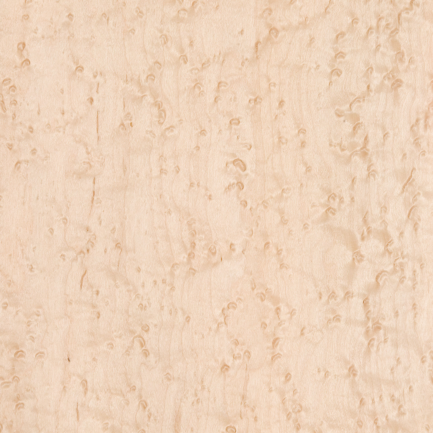 Veneer Bird's eye Maple peeled