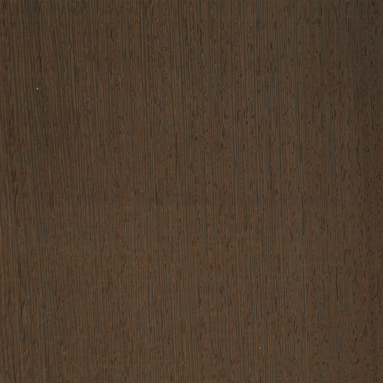 Veneer Wenge