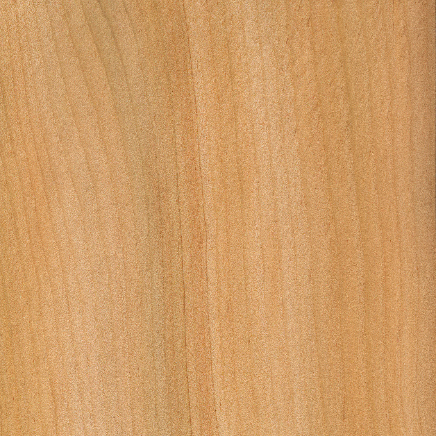 Veneer Cedar