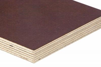 Sperracolor Birke DUNKELBRAUN 9mm 2-seitig Phenolharzfilm glatt BFU100