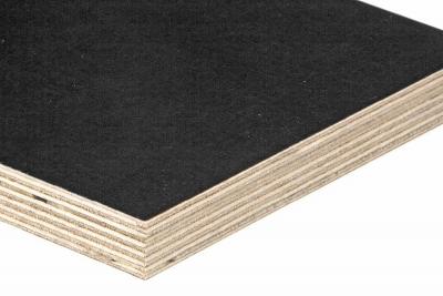 Sperracolor Birke SCHWARZ 9mm 2-seitig Phenolharzfilm glatt BFU100