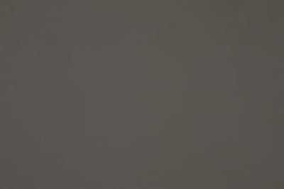 Verbundpl. Supermatt NTM Bloom MDF light-Platte 17mm, beids.dekorgleich Organza Supermatt Fenix 0718