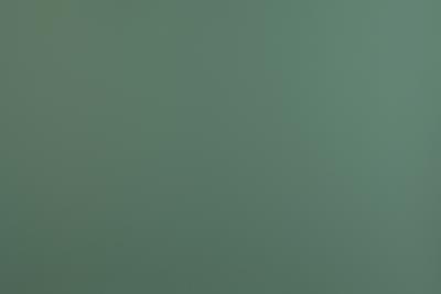 Kunstharzplatten Fenix Maranta Supermatt NTM 0773