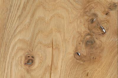 Eichenfurniere Quercus robur Ast-Eiche