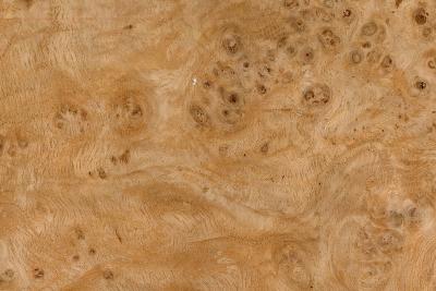 Eichenfurniere Quercus robur Eichen-Maserfurnier