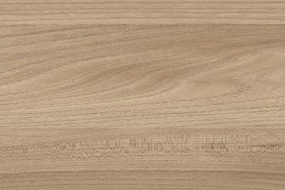 Kaindl Woodline Natural Schichtstoffe 37965 AW Ulme