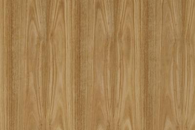 Furnier Express Fixmasse Eucalyptus Gegenzug mit Vlies 0,9 mm