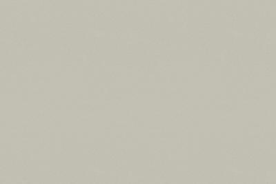 Argolite HPL-Schichtstoffplatte Uni Softmatt SO 246 Silbergrau