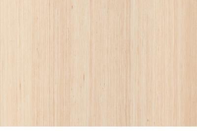 Furnier Express Design Birke natur 0.6mm