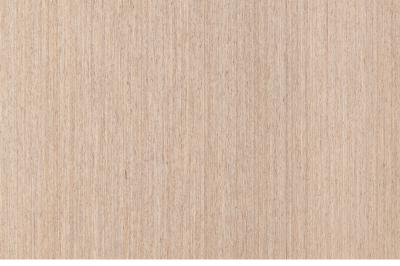Furnier Express Design Birke silber 0.6mm