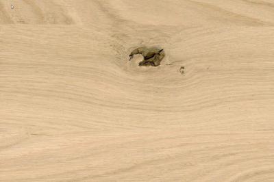 1S Massivholzplatte Eiche europ. A/B rustikal durchgehende Lamellen 40-90mm