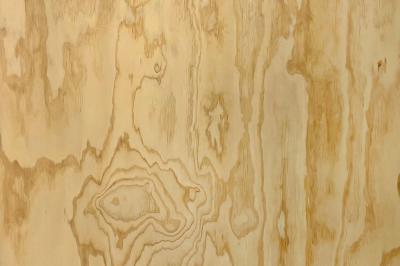 Furnier Express Fixmasse 